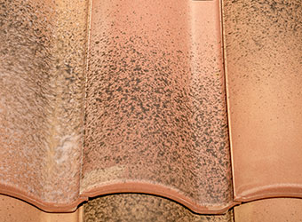 TSPRK PROVENCE KLINKER